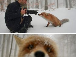 Momen Langka Hewan Ganggu Aksi Fotografer Satwa Liar Bikin Ketawa