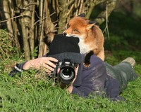 Aksi Fotografer Duganggu Hewan