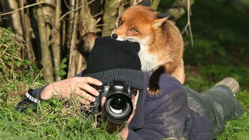 Rubah nakal oleh Gary Mann. Foto: Boredpanda