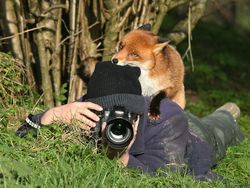 Momen Langka Hewan Ganggu Aksi Fotografer Satwa Liar Bikin Ketawa