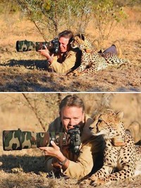 Aksi Fotografer Duganggu Hewan