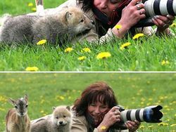 Momen Langka Hewan Ganggu Aksi Fotografer Satwa Liar Bikin Ketawa