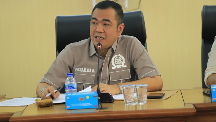 Anggota DPRD Sulsel Andi Patarai Amir.