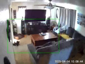 Rekaman CCTV Detik-detik Gempa M 5,2 Guncang California AS