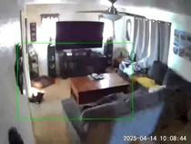 Video: Rekaman CCTV saat Gempa M 5,2 Guncang California AS