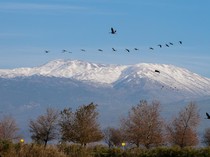 Wisata Kontroversial Israel: Buka Pendakian ke Suriah Saat Libur Paskah
