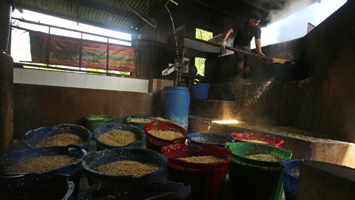 Harga Impor Kedelai Naik, Ini Efeknya ke Industri Tempe di Aceh Perajin menaburkan kacang kedelai seusai direbus saat proses produksi menjadi tempe di Industri Kecil dan Menangah (IKM) Soy Ben, desa Tanjung, kabupaten Aceh Besar, Aceh, Selasa (15/4/2025). Pengusaha tempe di daerah itu menyatakan, harga bahan baku kacang kedelai impor asal Amerika terus mengalami kenaikan sejak sepekan terakhir dari harga Rp8.900 per kilogram menjadi Rp10.100 per kilogram yang dikhawatirkan dapat mengancam keberlangsung industri. ANTARA FOTO/Ampelsa/YU