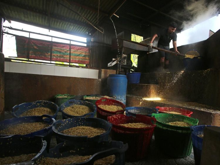 Harga Impor Kedelai Naik, Ini Efeknya ke Industri Tempe di Aceh