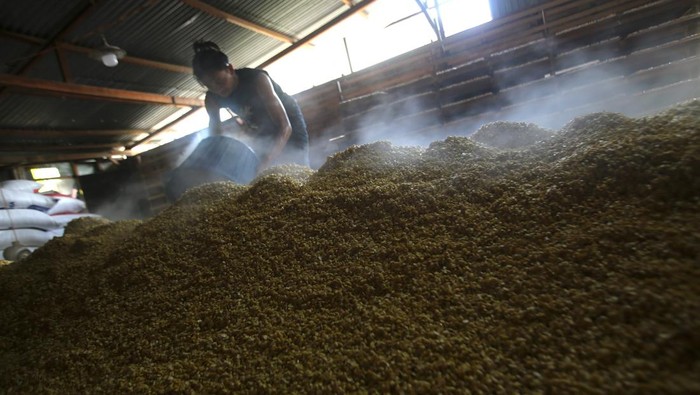 Perajin menaburkan kacang kedelai seusai direbus saat proses produksi menjadi tempe di Industri Kecil dan Menangah (IKM) Soy Ben, desa Tanjung, kabupaten Aceh Besar, Aceh, Selasa (15/4/2025). Pengusaha tempe di daerah itu menyatakan, harga bahan baku kacang kedelai impor asal Amerika terus mengalami kenaikan  sejak sepekan terakhir dari harga Rp8.900 per kilogram menjadi Rp10.100 per kilogram yang dikhawatirkan dapat mengancam keberlangsung industri. ANTARA FOTO/Ampelsa/YU
