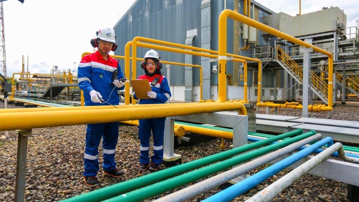 Ilustrasi jaringan gas PGN