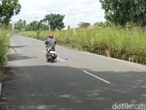 Kondisi Terkini Rumput Liar di Median Jalan Lingkar Mangin