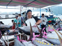 Tarif Trump dan Jalan Ganda Perikanan Indonesia