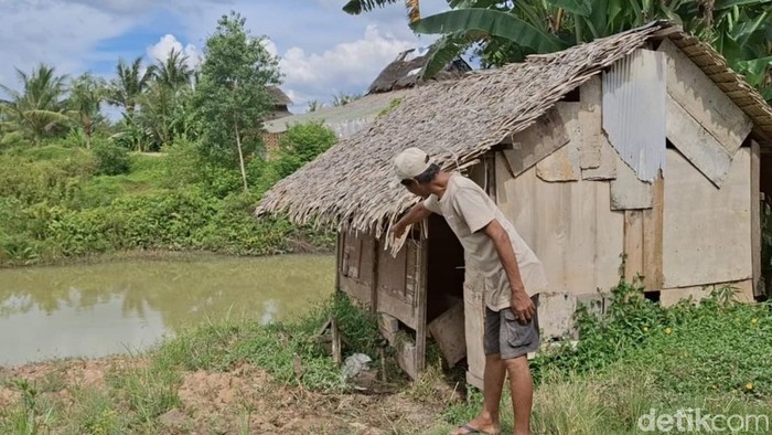 Korban menunjukkan lokasi kandang sapinya yang hilang.