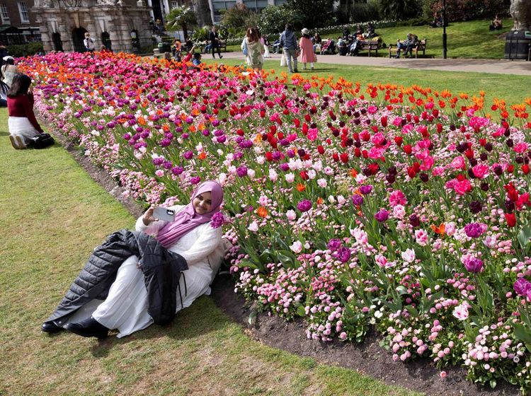 Melihat Indahnya Bunga Bermekaran di Victoria Embankment Gardens