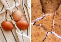 Mengejutkan! Begini Penampakan Benda Sehari-hari Dilihat Pakai Mikroskop