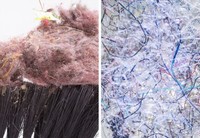 Mengejutkan! Begini Penampakan Benda Sehari-hari Dilihat Pakai Mikroskop