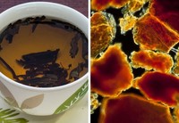 Mengejutkan! Begini Penampakan Benda Sehari-hari Dilihat Pakai Mikroskop