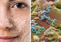 Mengejutkan! Begini Penampakan Benda Sehari-hari Dilihat Pakai Mikroskop