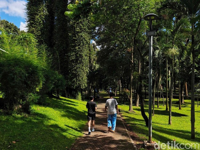 Taman Langsat di Jalan Barito, Jaksel, bakal dibuka 24 jam. Yuk lihat kondisi terkini taman yang menawarkan suasana asri tersebut.