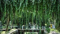 Tiga taman ikonik, Taman Ayodya, Taman Langsat, dan Taman Leuser, bakal dioperasikan 24 jam penuh sebagai bagian dari proyek Taman ASEAN.  