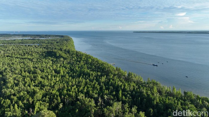 Perairan Pulau Sebatik yang jadi jalur baru penyelundupan narkoba.