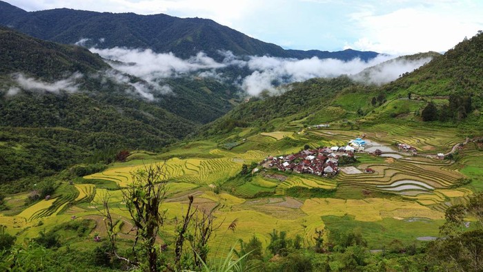 Foto udara suasana bentang alam Kecamatan Seko di Kabupaten Luwu Utara, Sulawesi Selatan, Senin (14/4/2025). Pemerintah Provinsi Sulawesi Selatan telah menetapkan bentang alam Seko Rongkong seluas 74.811 hektare sebagai Kawasan Bernilai Ekosistem Penting (KBEP) pada Oktober 2024 yang diharapkan menjadi rumah bagi satwa liar seperti anoa pegunungan.