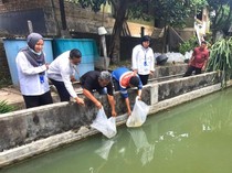 Patra Niaga Sumbagsel Inisiasi Program Budidaya Ikan Arwana Green Pino