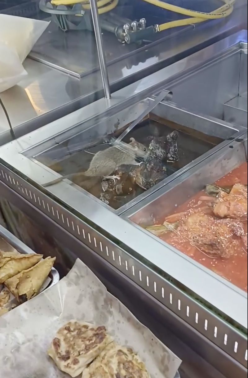Heboh! Tikus Ketahuan Gerogoti Makanan di Resto Nasi Kandar Terkenal