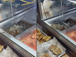 Heboh! Tikus Ketahuan Gerogoti Makanan di Resto Nasi Kandar Terkenal
