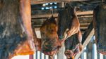 10 Hewan Aneh yang Populer Jadi Makanan Enak di Berbagai Negara
