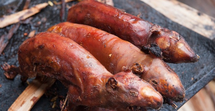 10 Hewan Aneh yang Populer Jadi Makanan Enak di Berbagai Negara