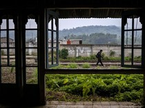 11 Jalur KA Jabar Bakal Diaktifkan Lagi