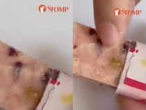 Duh! Ada Helaian Rambut di Cokelat Merek Mahal dan Populer