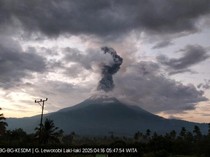 Video: Gunung Lewotobi Laki-laki Erupsi Pagi Ini, Tinggi Letusan Capai 3.500 Meter