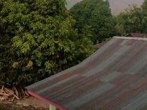 Gunung Lewotobi Laki-Laki Meletus Lagi, BPBD Imbau Warga Waspada