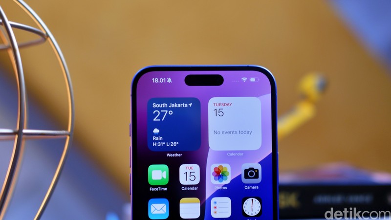 iPhone 16 Plus