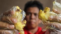Bukan tanpa bekal, ia telah hafal betul semua resep yang diturunkan oleh nenek dan ibunya. Bahkan keluarganya jarang datang ke dokter kala sakit, Dewi hanya meneruskan resep itu saat sakit mulai terasa.