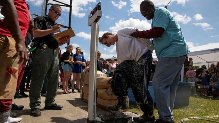 Keseruan Festival Bubur Jagung yang Menyatukan Masyarakat Georgia Mark Walker jumps into a pool of grits while competing in the grit pit competition during the National Grits Festival in Warwick, Georgia, U.S., April 12, 2025. REUTERS/Alyssa Pointer