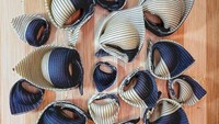 Rivillo juga menyebut dirinya sebagai Pasta Designer. Salah satu kreasi pastanya yang unik adalah ravioli dengan paduan biru dan putih dengan garis-garis. Foto: Instagram @david_rivillo
