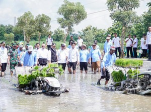 Luas Tambah Tanam Lamongan Capai 28,30 Persen