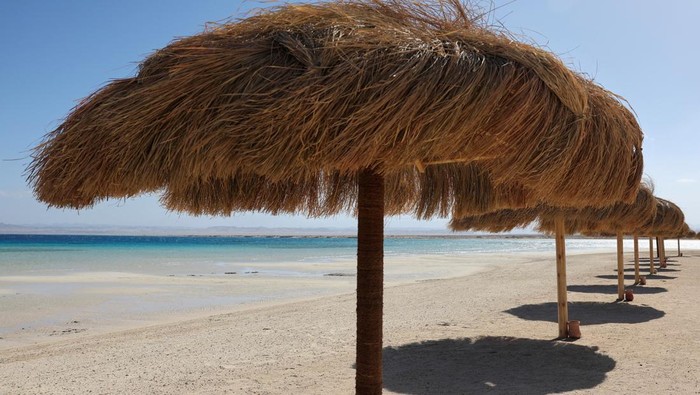 Potret Pantai Laut Merah yang Asri Terancam Proyek Pariwisata Mesir A man sits under a wooden structure at Ras Hankorab beach, home to one of the country's last untouched marine ecosystems, with crystal clear waters and white sands, at southern Egypt's Red Sea coast in Marsa Alam, Egypt March 23, 2025. REUTERS/Stringer TPX IMAGES OF THE DAY