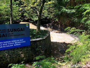 Cemari Sungai Cikapundung, Peternakan Sapi di Lembang Bakal Ditertibkan