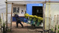 Sanksi dari arahan Trump itu dilakukan setelah Kolombia menolak menerima pesawat yang mengangkut para migran yang dideportasi dari AS.  