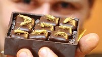 Menurut laporan pada 2013, sebanyak 23 juta orang dunia sudah mulai mengonsumsi serangga saat itu. Sampai-sampai ada chocolatier yang menyulap serangga menjadi isian cokelat yang manis. Foto: Istimewa
