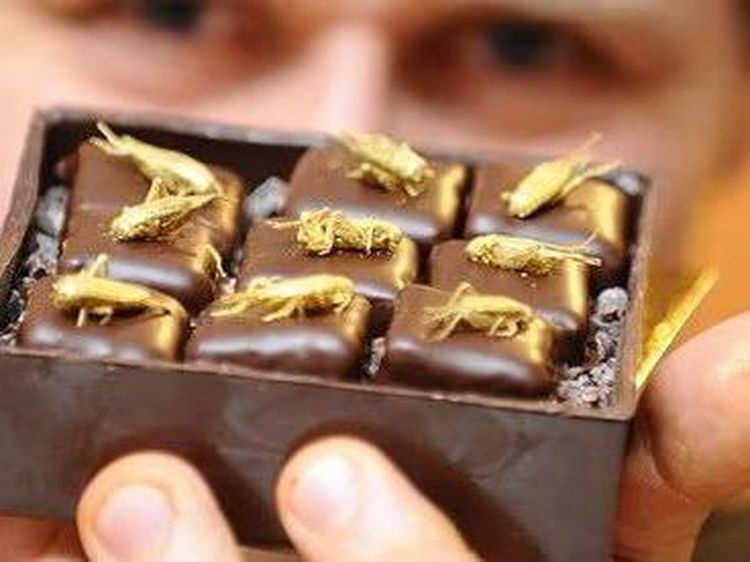 10 Cokelat dengan Rasa Paling Aneh yang Pernah Dibuat, Mau Cicip?