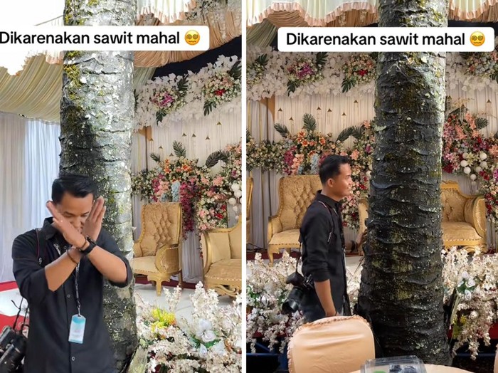 Fotografer ini curhat ingin mengabadikan momen pernikahan, malah terhalang pohon sawit di depan pelaminan. Postingan tersebut langsung viral di TikTok