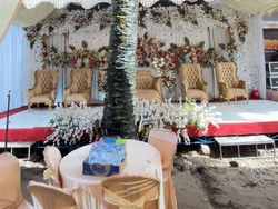 Pernikahan Viral, Ada Pohon Sawit di Tengah Pelaminan, Fotografer Shock