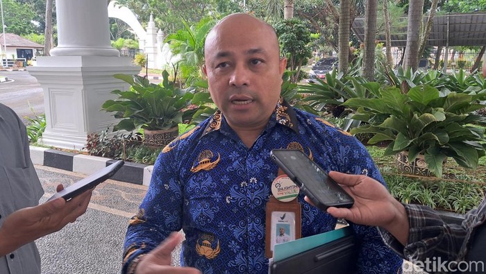 Kepala BPOM Banten, Mojaza Sirait, kepada wartawan di Kantor Gubernur Banten, Kota Serang, Kamis (17/4/2025). Foto: Arief/detikcom.