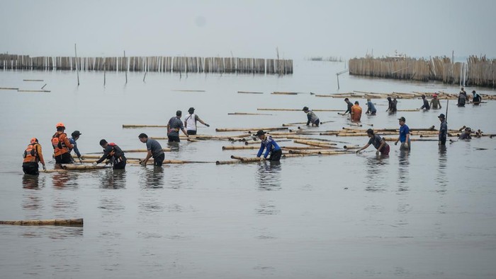 Petugas gabungan bersama nelayan mengumpulkan bambu dari pembongkaran pagar laut di pesisir laut Desa Kohod, Kabupaten Tangerang, Banten, Kamis (17/4/2025). Kementerian Kelautan dan Perikanan (KKP) membongkar sisa pagar laut sepanjang satu kilometer sebagai upaya menata ruang laut dan meningkatkan keselamatan para nelayan. ANTARA FOTO/Putra M. Akbar/nym.