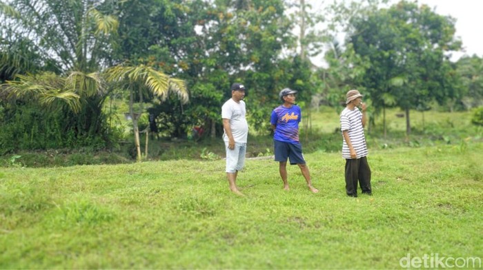 Lahan 4,8 hektare milik Santung